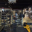 팀스파르타짐 이미지