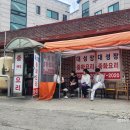 대성장 티스토리