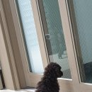 영온농장 이미지