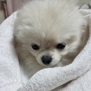 나미살롱 - 강남구 | 나미살롱