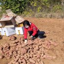 1004농장 이미지