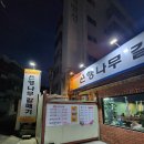은행나무갈매기 이미지