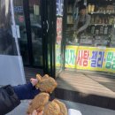 선우건강원 네이버블로그