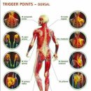 글로벌스토어 이미지