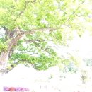 "배신자 이낙연 심판하러 투표장 왔습니다" 이미지