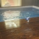 더스터닝 이미지