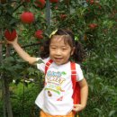 선단꿈나무어린이집 이미지