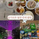 인쥬얼 | 싱가포르 6박7일 일정 싱가포르 여행 경비 바샤커피 면세 창이공항 쥬얼창이 후기