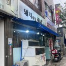 돼지품은해녀