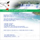 더아름다운세상 이미지