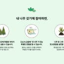 마이트리 이미지