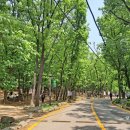 관악수목원 공중화장실 이미지