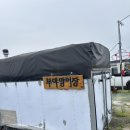 부산 금붕어 물생활 성지- 부야양어장 방문후기, 선택받은 튼튼한 금붕어들이 가득!