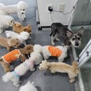 엠제이카프로젝트엠제이오토카워씨 | 8월이래