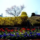 동해시청 이미지