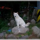 진주 농장 이미지