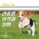 잘하는 동물메디컬센터 이미지
