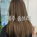 다담시니어 | 제주 노형동 솜브레 1등 후회없는 염색 아씬 시아원장 자연스럽게 잘해요