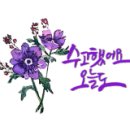 마그놀리아