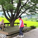 지산1리 경로당 이미지