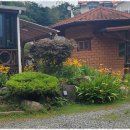 무릉펜션민박 이미지