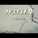 가시나무(시인과촌장)코드/가사/힐링/감성/잔잔한/겨울에 듣기좋은 노래/커버acoustic live folk song/ccm/하덕규/함춘 이미지