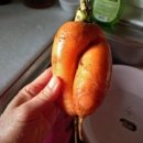 다판다부동산공인중개사사무소 이미지