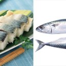 생선 이미지