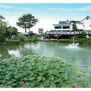 호연지기 관광농원 이미지