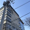 서울 성북동 유명한 빵집 '나폴레옹과자점' 본점 방문후기