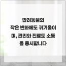 엉클장동물병원 이미지