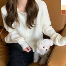 주식회사 봄가을 이미지