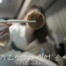 모자가리비 이미지