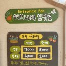 평창 가볼만한곳 허브나라 농원 가을이 예쁘다