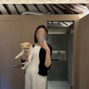 스테이더담 이서점 이미지