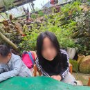 참샘길 | 잉글리시아이 연신점 가을 소풍 밀양 참샘 허브나라 감 따기 체험