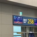 호주 신혼여행 05 | 8박 10일 1일차 | 동부해안투어, 화덕피자 바토티, 리바레노 젤라또, 시드니 콜스...