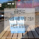 반석가금진료연구소 | 곰곰연구소 반려동물 이름 작명 스토리 이벤트 당첨후기♡