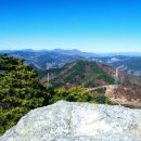 광양농협 앞 버스정류장 이미지