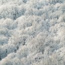 미소삼대한의원 이미지