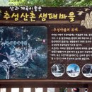 추성산촌생태마을