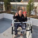 행복노인복지센터 화장실 이미지