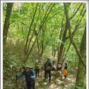 참샘물1호약수터 | 200524, 18번째 지리산 천왕봉, 중산리 로타리대피소 개선문 천왕봉 통천문 장터목 소지봉 백무동-첨단...