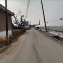 장본대교