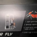 짐파시 이미지