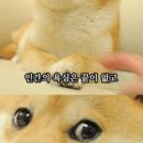 재재재
