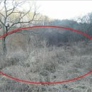 여주-1116 이미지