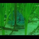 생명과 공존의 숲( 이미지