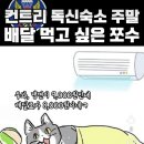 유성식당 | 완주 유성식당 후기