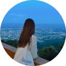 자연유치원 | 유치원 교사에서 외국계 취업한 이유 (커리어 전환 현실 후기
